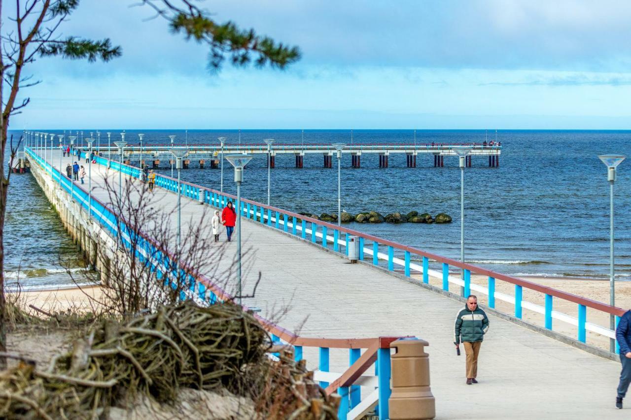 Vila Bohema Palanga - 4 Apartamentu Vila Kestucio G. 11酒店 外观 照片