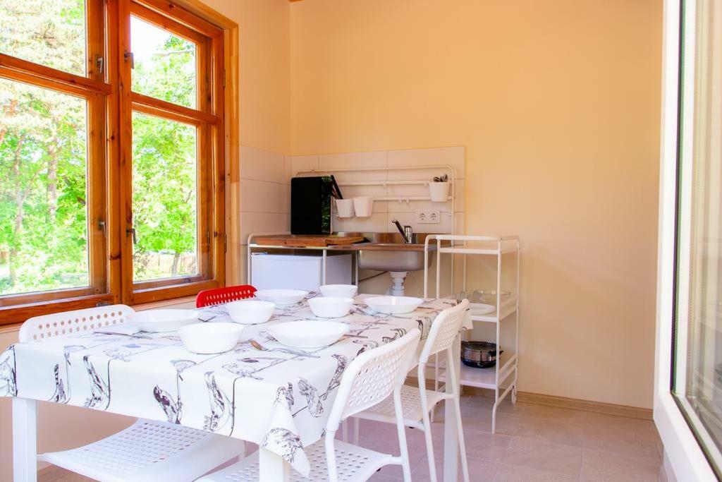 Vila Bohema Palanga - 4 Apartamentu Vila Kestucio G. 11酒店 外观 照片