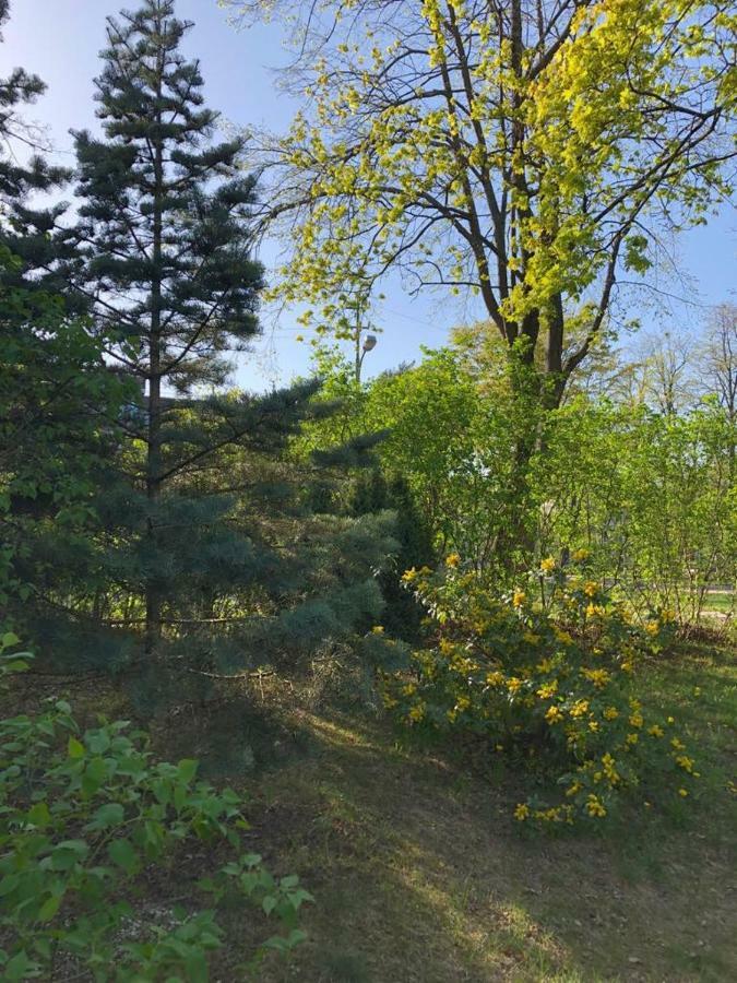 Vila Bohema Palanga - 4 Apartamentu Vila Kestucio G. 11酒店 外观 照片
